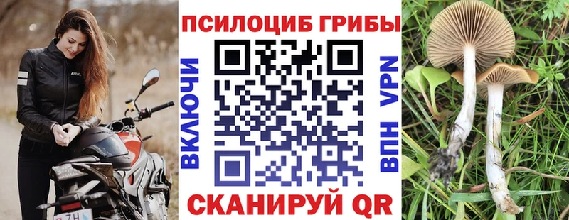 Псилоцибиновые грибы ЛСД  Купить закладки  Алзамай 